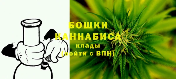 трава Арсеньев