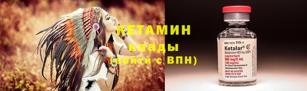 трава Арсеньев