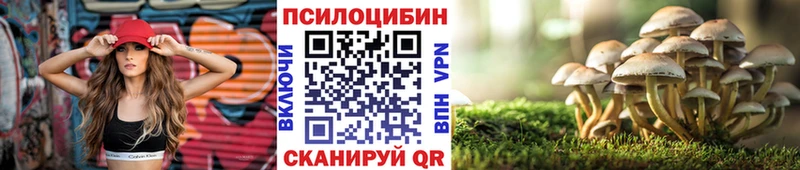 купить закладку Полярный Псилоцибиновые грибы ЛСД